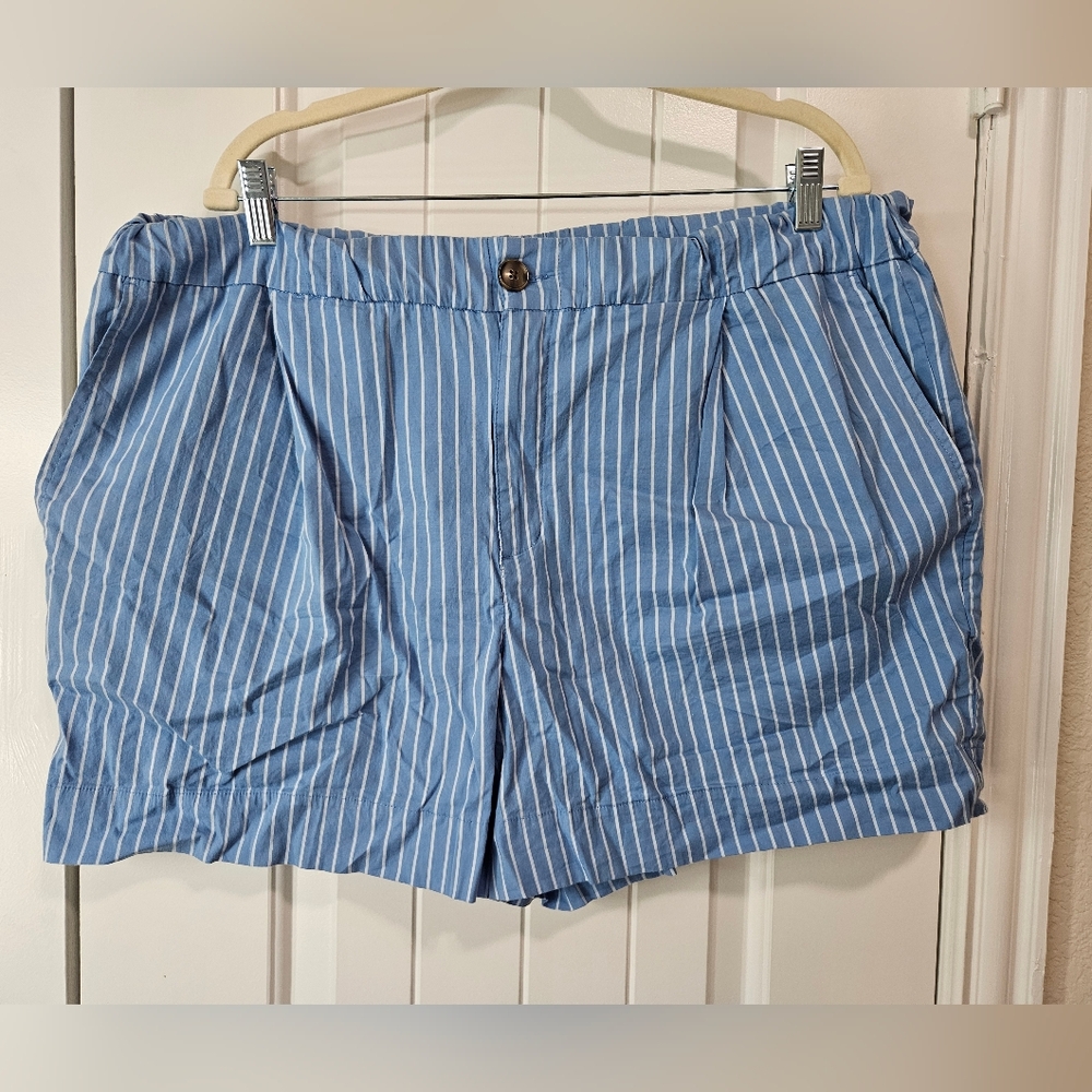 Blue Striped Pleated Shorts